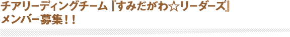 チアリーディングチーム『すみだがわ☆リーダーズ』メンバー募集！！